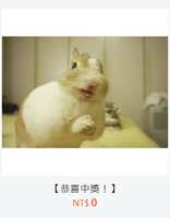 https://images.plurk.com/7t4gPNlIBAxYtrz7Fo1OkS.png