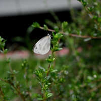 https://images.plurk.com/7t66XvkrYb2lLO6d6H5QEZ.jpg