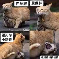 https://images.plurk.com/7t7tZub8Zlva1u46xMXMrY.jpg