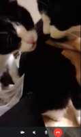 https://images.plurk.com/7tBvpPCdjsojbxP47OU1kK.png