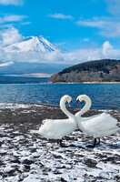 https://images.plurk.com/7tDysbwKDbHEFKO8TKC4c9.jpg