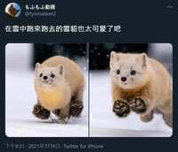 https://images.plurk.com/7tKUesQwoTnxStgKXH8gW.jpg