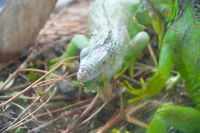 https://images.plurk.com/7teXYNlooSDVW597f9u9LW.jpg