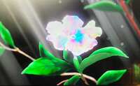 https://images.plurk.com/7tlhmp8FssspeSiB5DYLXT.jpg