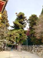https://images.plurk.com/7tq8WGdAseZYAvaZTlvEh.jpg