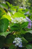 https://images.plurk.com/7u6RH2nx8mrvi4sNYbPMXN.jpg