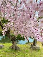 https://images.plurk.com/7u6a4g9ymIPIBG7DtbOErT.jpg