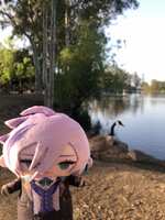https://images.plurk.com/7u88KcSL1fgO8lOYioVtB8.jpg