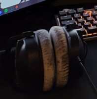 https://images.plurk.com/7uJ5w7d1VkYO8B096l2KKU.png