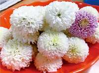 https://images.plurk.com/7uLOFz49zduCNkNyk5lHpn.jpg