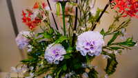 https://images.plurk.com/7uNxqTjN4NMd7wbPR8WAPK.jpg