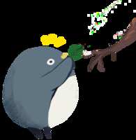 https://images.plurk.com/7uT2mOU1HZ6xnUyXWnVKyi.png