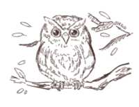 https://images.plurk.com/7uXn8Rswm1qmpgblgQJz65.png