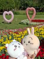 https://images.plurk.com/7ukZs0VjMCWy7jmdluzJGx.jpg