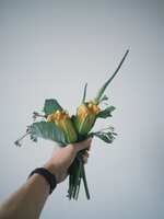 https://images.plurk.com/7ul17WJSQcymFmASldaTfm.jpg