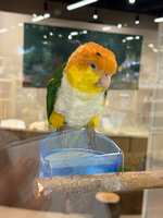 https://images.plurk.com/7uupAYJIgJbDsT6WPVDnQ5.jpg