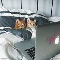 https://images.plurk.com/7v6MaKoLBfHW6I6a8MO6xE.jpg