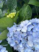 https://images.plurk.com/7v7CSeIeKNB1f8hKAKZPFy.jpg