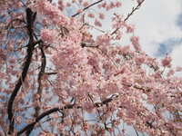 https://images.plurk.com/7v7FSTb9SElRJIbIgLiMRU.jpg