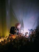 https://images.plurk.com/7v9uJEoF7PMWfri4mXSHgz.jpg