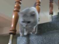 https://images.plurk.com/7vCyyLxyNlPNWSMMWF5w4d.jpg