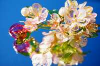 https://images.plurk.com/7vExLQA5QdzJrW85lt8Wwb.jpg