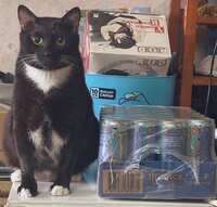 https://images.plurk.com/7vGfYX4WpYJks45ytnP6Is.jpg