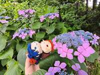 https://images.plurk.com/7vMbukk2fRnY916JvioTG8.jpg