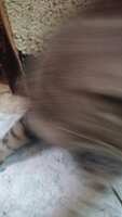 https://images.plurk.com/7vRkWtrkTbfS4KG3UXZif.jpg