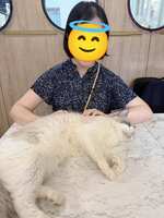 https://images.plurk.com/7vScL7TaUUWE1lrqpUrD2g.jpg