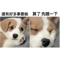 https://images.plurk.com/7vTUj5kAwVOgNKCDNE3eFB.jpg