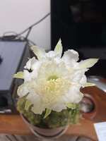 https://images.plurk.com/7vWwrew1KPiRDNVGK6Z0ov.jpg