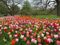 https://images.plurk.com/7vZJZP48NSKRZvfOL1VCC0.jpg