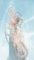 https://images.plurk.com/7vr3IDp5PBV2hP06LTE20F.png