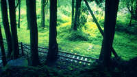 https://images.plurk.com/7vu6hr88ZVtsGy3S6IQXwJ.jpg