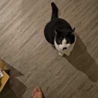 https://images.plurk.com/7w1OtxL453tbnbVWTM0pBu.gif