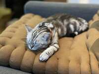 https://images.plurk.com/7w7aTVJWAEjNXKhud3we8o.jpg