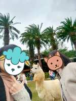 https://images.plurk.com/7wDUigmofxUC1IR3w7ifbf.jpg
