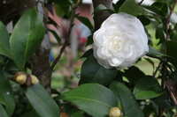 https://images.plurk.com/7wFUwQDdsZ7xJAF6xrcQe4.jpg