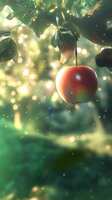 https://images.plurk.com/7wJAS0lrkrI72JjMaD5S5U.png