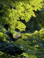 https://images.plurk.com/7wJZ05jArBgnBwVPq7wO42.jpg