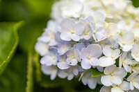 https://images.plurk.com/7wMc6h7JkMXg8902qzXupU.jpg
