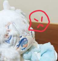 https://images.plurk.com/7wc5KZgQShIeKfBQoJQlWb.jpg