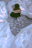 https://images.plurk.com/7wii9o295cNuDnpGhbh4ZK.jpg