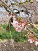https://images.plurk.com/7wyOfHKgjd5IgxCUYnk55f.jpg
