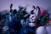 https://images.plurk.com/7x3XwDcrf2t7zbYpT5cQRl.jpg