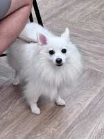 https://images.plurk.com/7x3t0Sra0gwm7DrRwMvVzQ.jpg