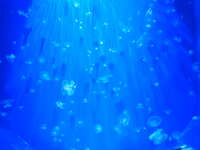 https://images.plurk.com/7x87ncCBFalVCGpdN8pbsf.jpg