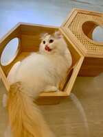 https://images.plurk.com/7xEqkRicKEcIjDoog0HvkP.jpg