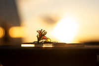 https://images.plurk.com/7xT37dwKLPWTDDJKeLNxGL.jpg